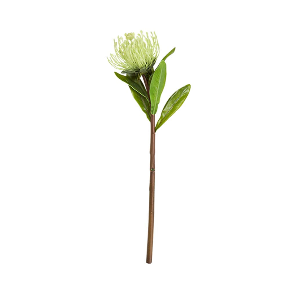 Bahne & Co. Protea Blume creme 43cm